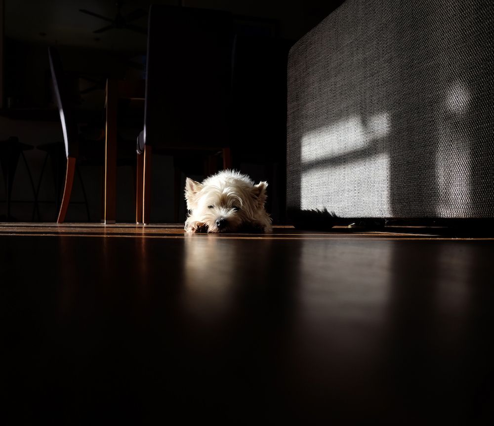 Knowing vs. Understanding